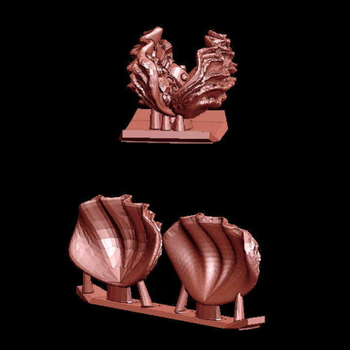 Treasure Clam - Image 2