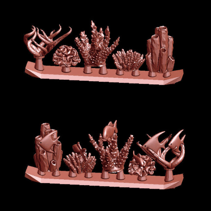Seaplants - Image 2