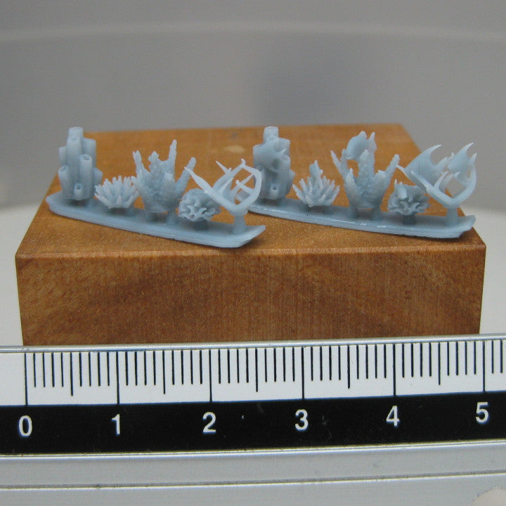 Seaplants - Image 3