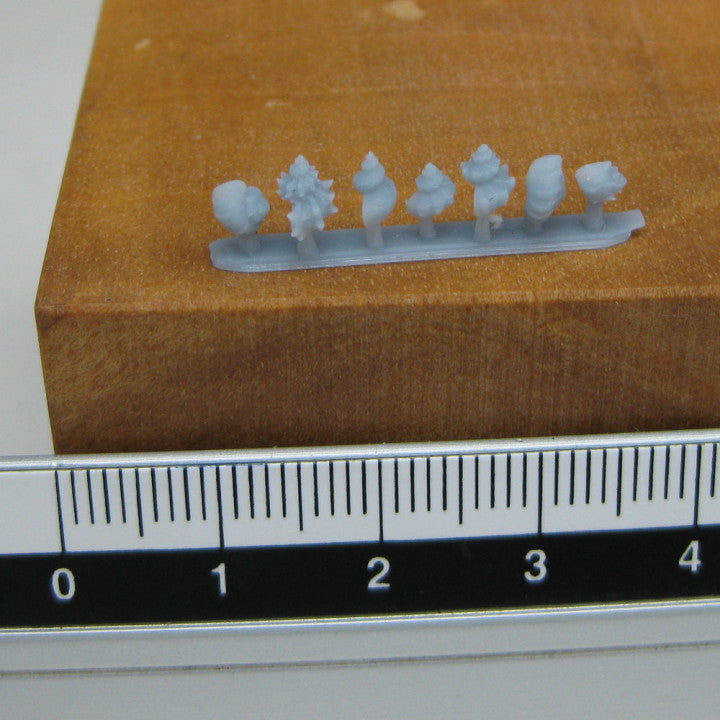 Spiral Shells - Image 3